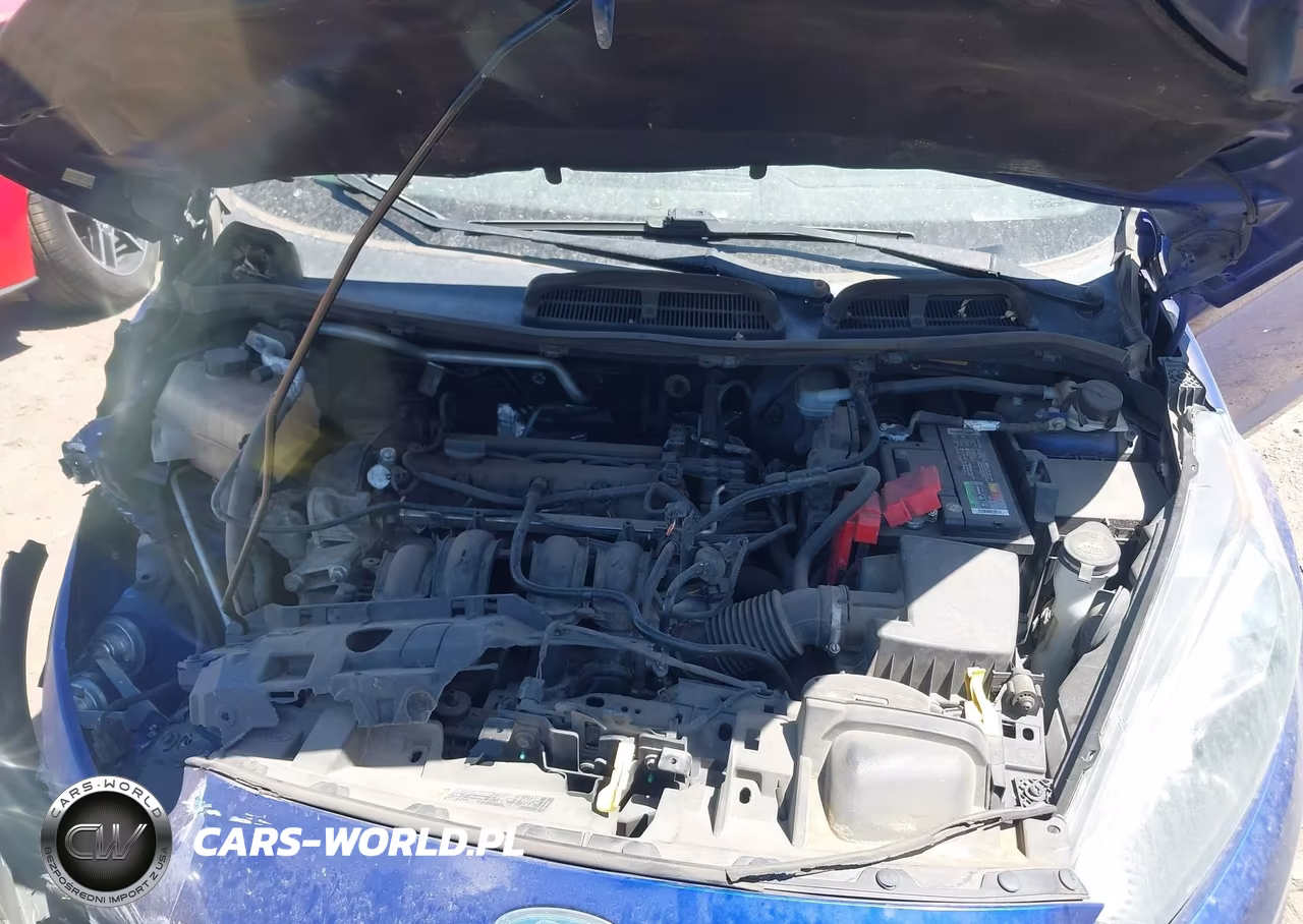 2014 Ford Fiesta Se VIN:3FADP4BJ3EM131878 - 10