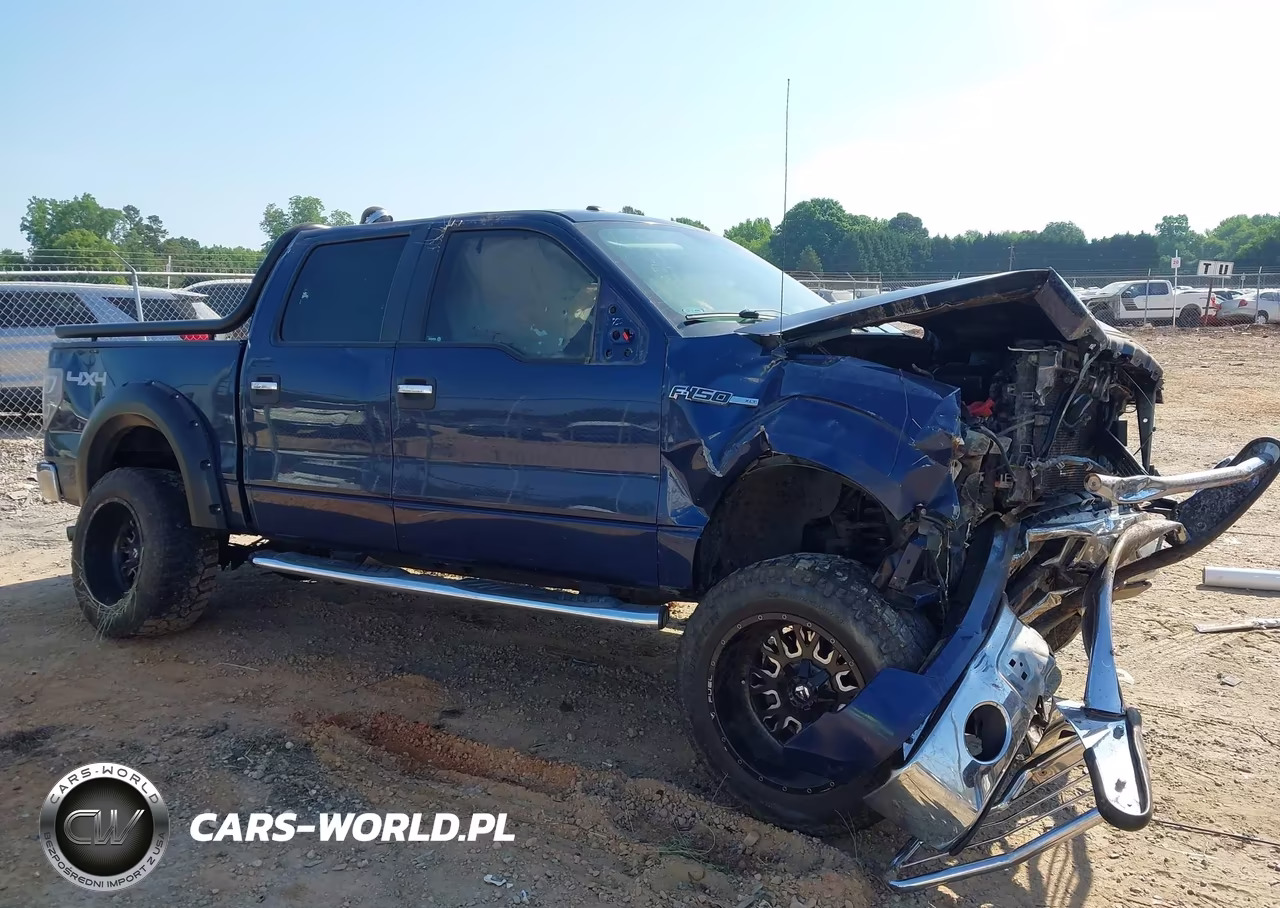 2010 Ford F-150 Fx4-Harley-Davidson-King Ranch-Lariat-Platinum-Xl-Xlt VIN:1FTFW1EV6AKE42631 - 13