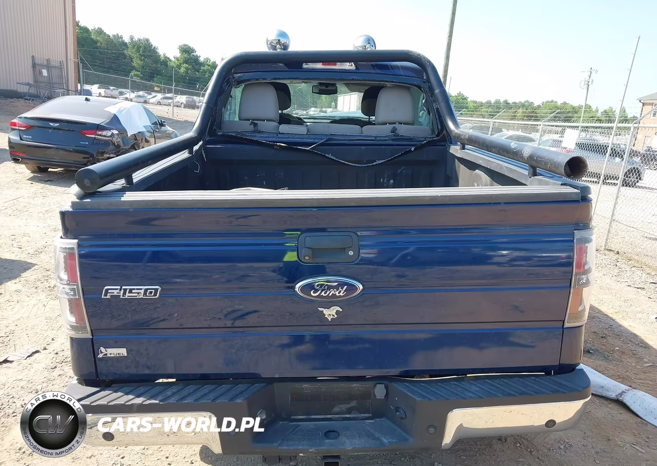 2010 Ford F-150 Fx4-Harley-Davidson-King Ranch-Lariat-Platinum-Xl-Xlt VIN:1FTFW1EV6AKE42631 - 16