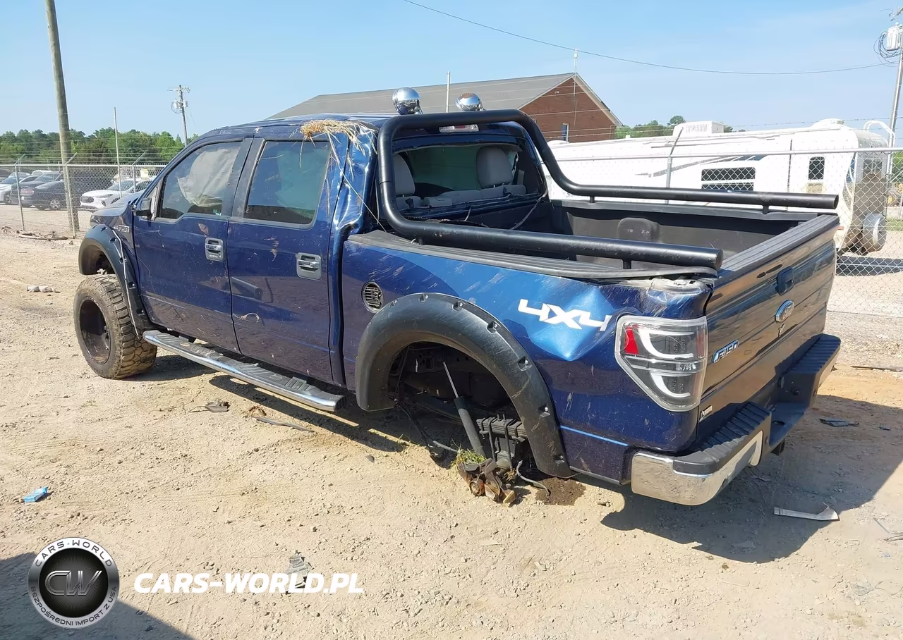 2010 Ford F-150 Fx4-Harley-Davidson-King Ranch-Lariat-Platinum-Xl-Xlt VIN:1FTFW1EV6AKE42631 - 3
