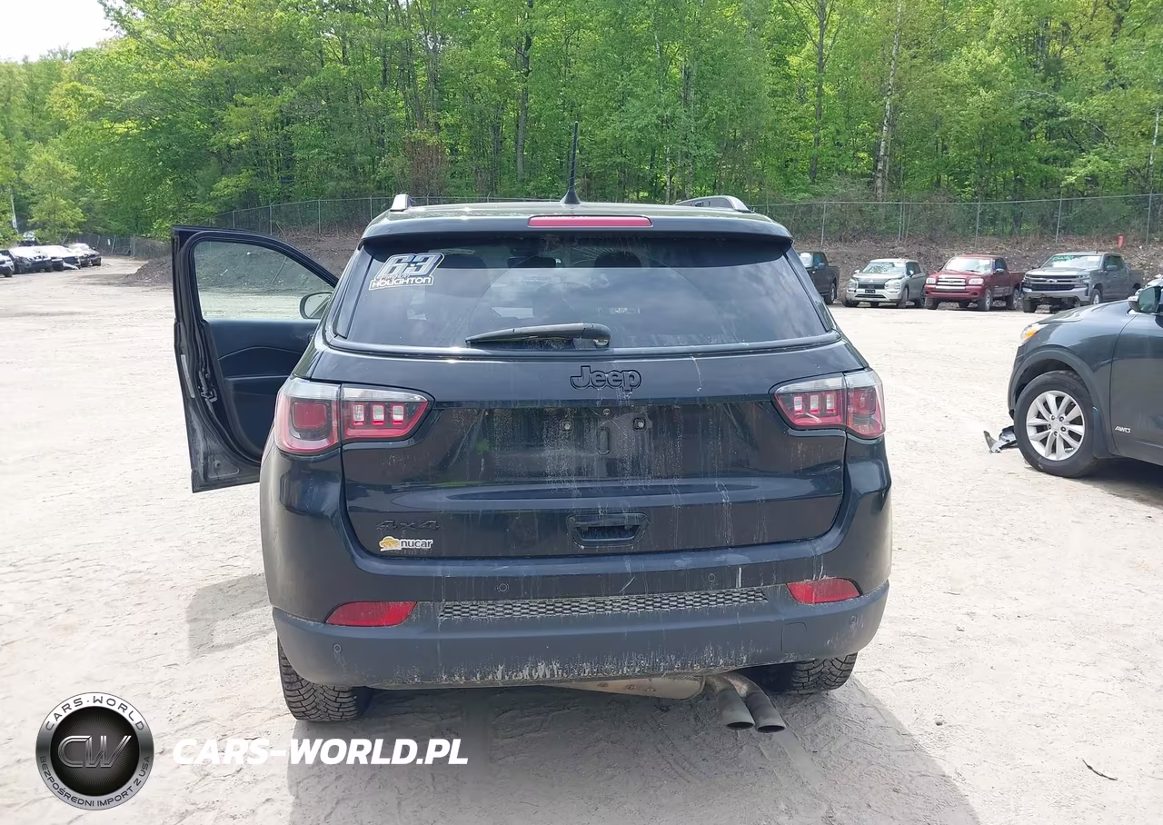 2019 Jeep Compass Altitude 4X4 VIN:3C4NJDBB2KT817176 - 16