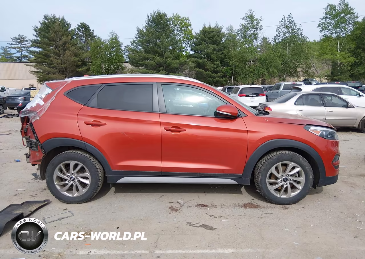 2017 Hyundai Tucson Se Plus VIN:KM8J3CA41HU415214 - 13