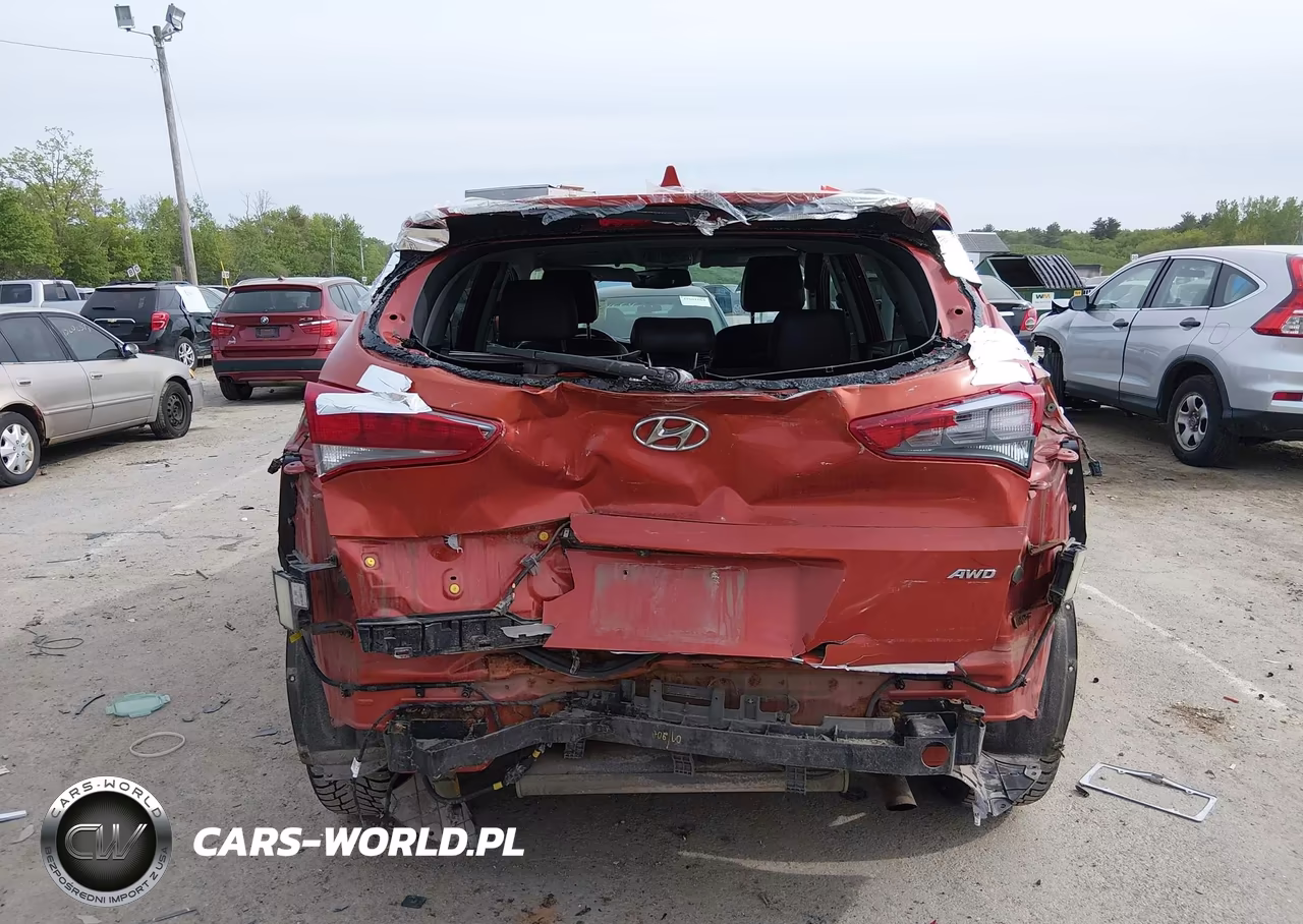 2017 Hyundai Tucson Se Plus VIN:KM8J3CA41HU415214 - 16