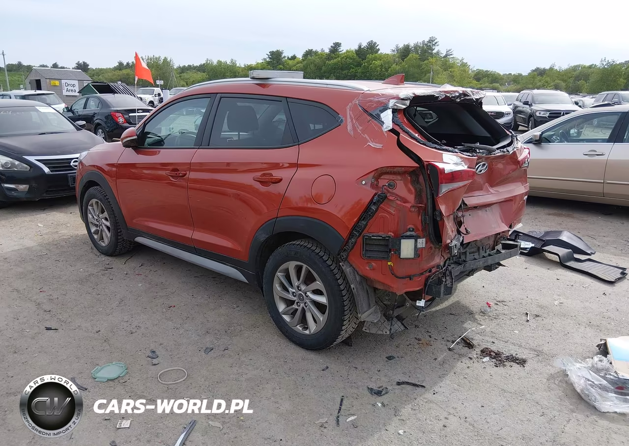 2017 Hyundai Tucson Se Plus VIN:KM8J3CA41HU415214 - 3