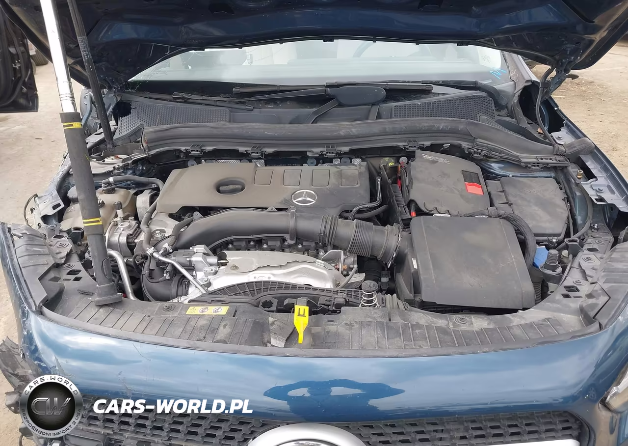 2021 Mercedes-Benz Gla 250 4Matic VIN:W1N4N4HB6MJ221739 - 10