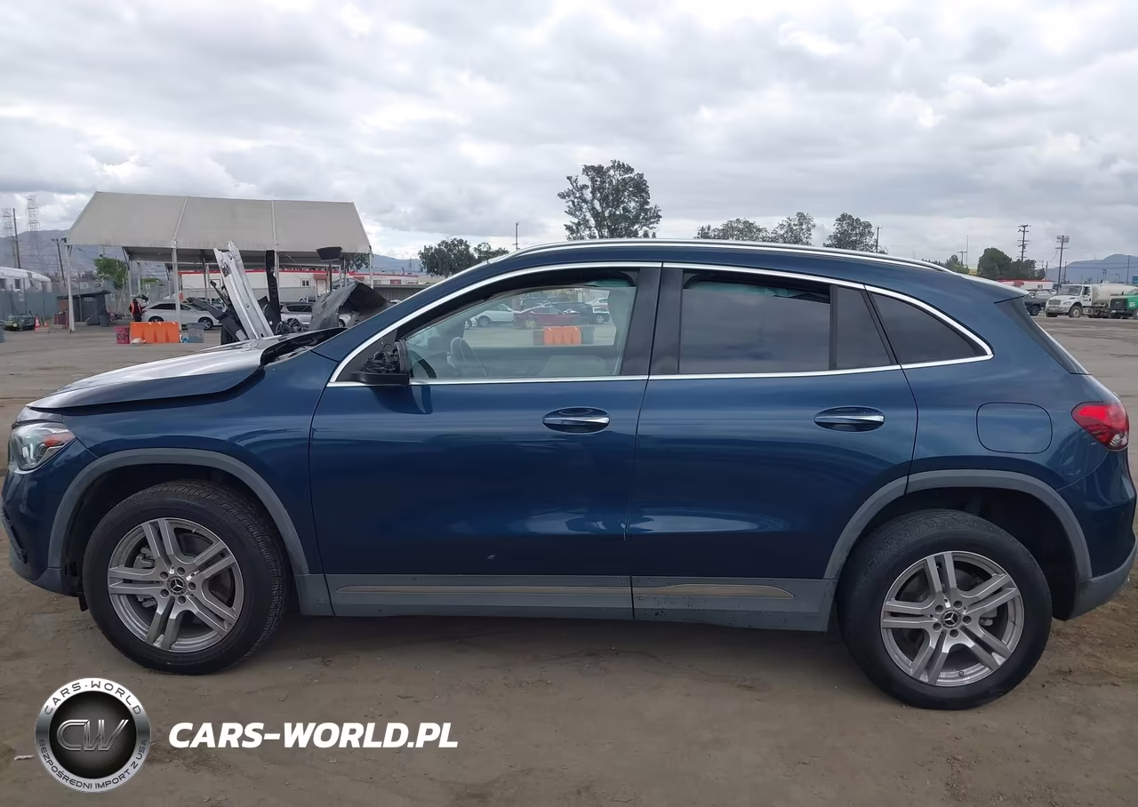 2021 Mercedes-Benz Gla 250 4Matic VIN:W1N4N4HB6MJ221739 - 13