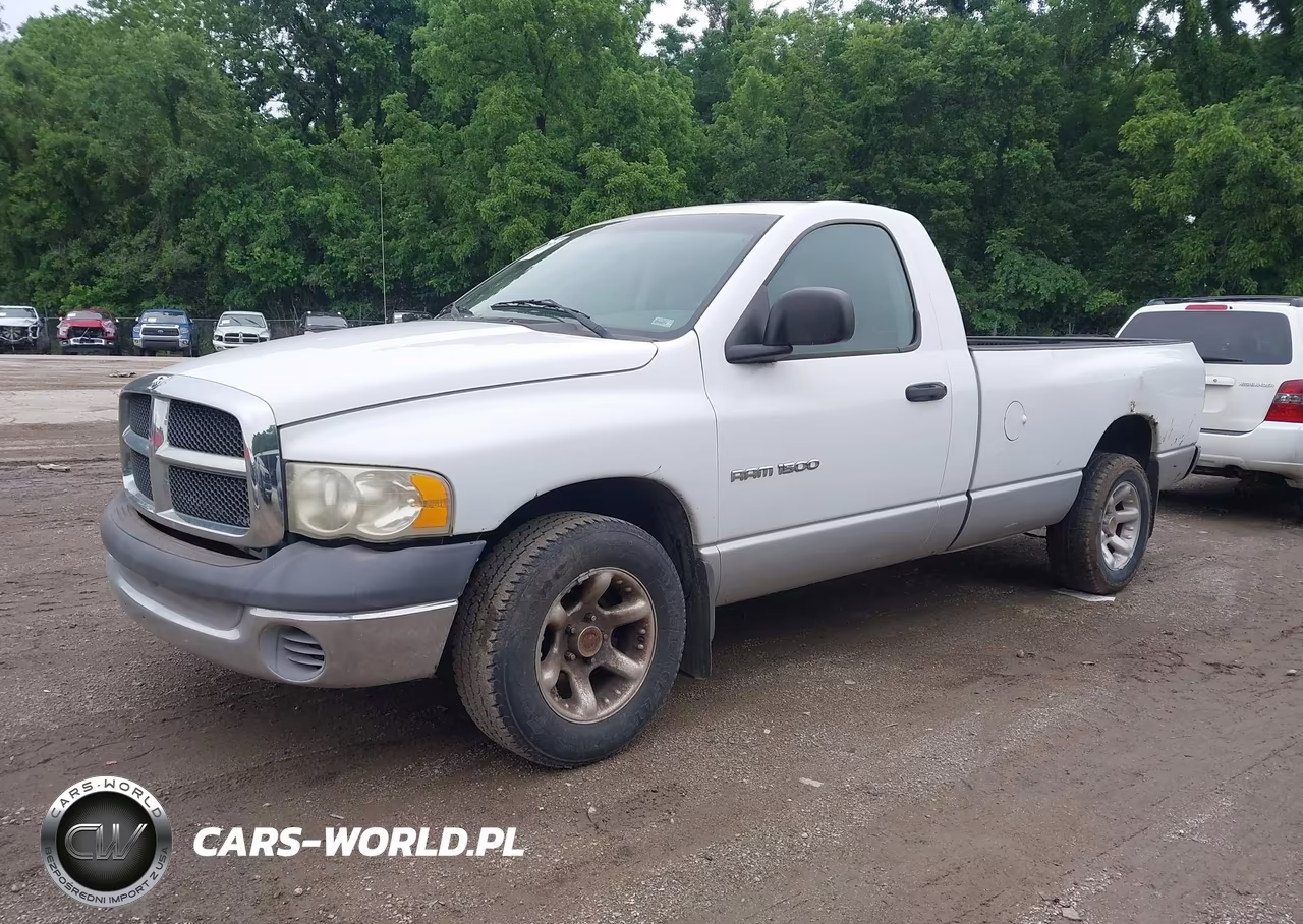 2002 Dodge Ram 1500 St VIN:1D7HA16K62J213665 - 2