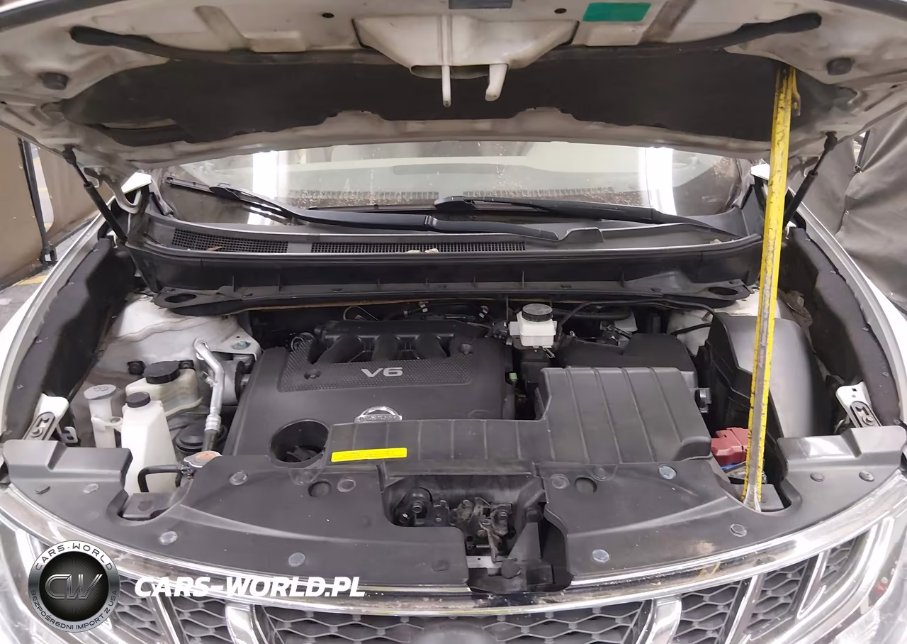 2011 Nissan Murano Sv VIN:JN8AZ1MW9BW182364 - 10