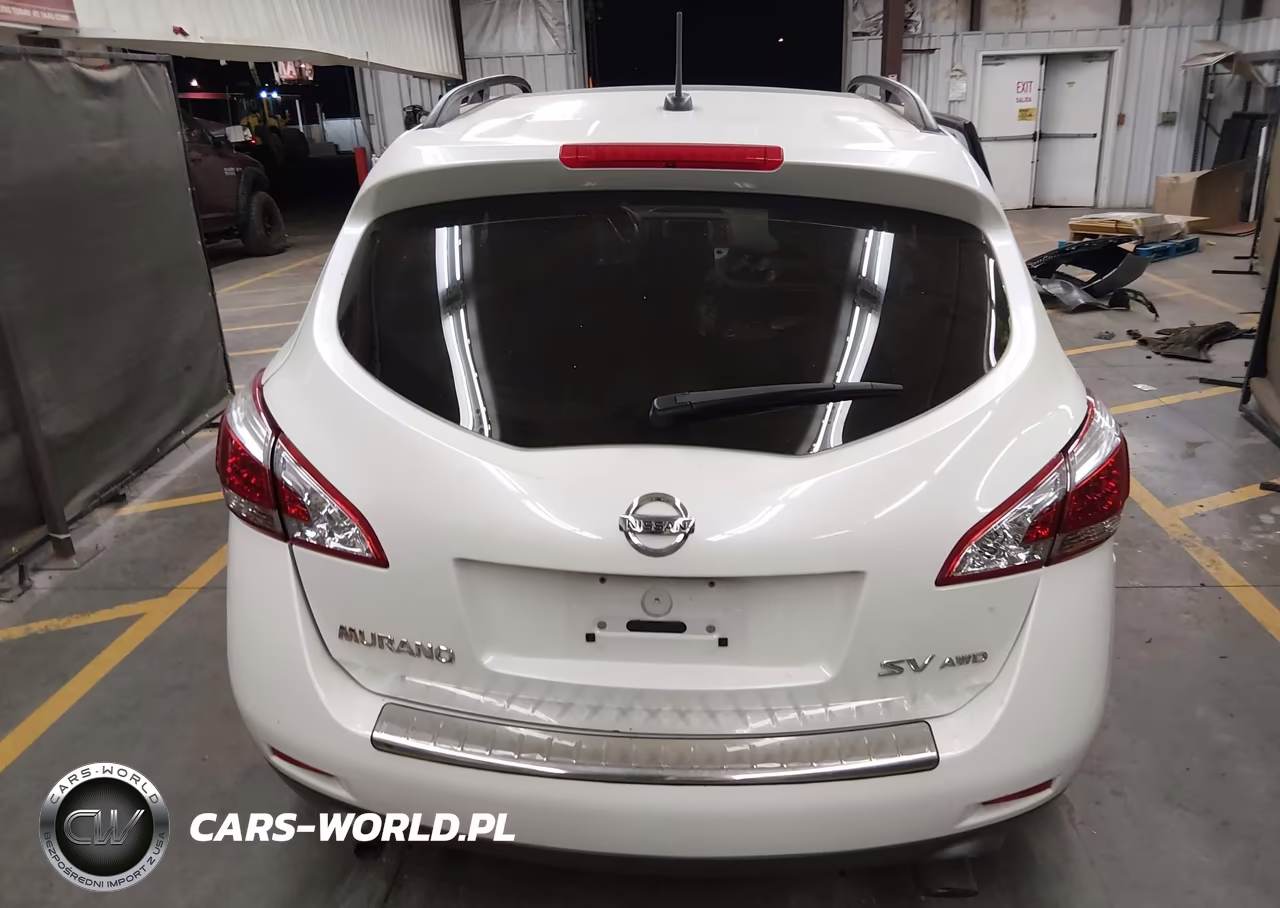2011 Nissan Murano Sv VIN:JN8AZ1MW9BW182364 - 16