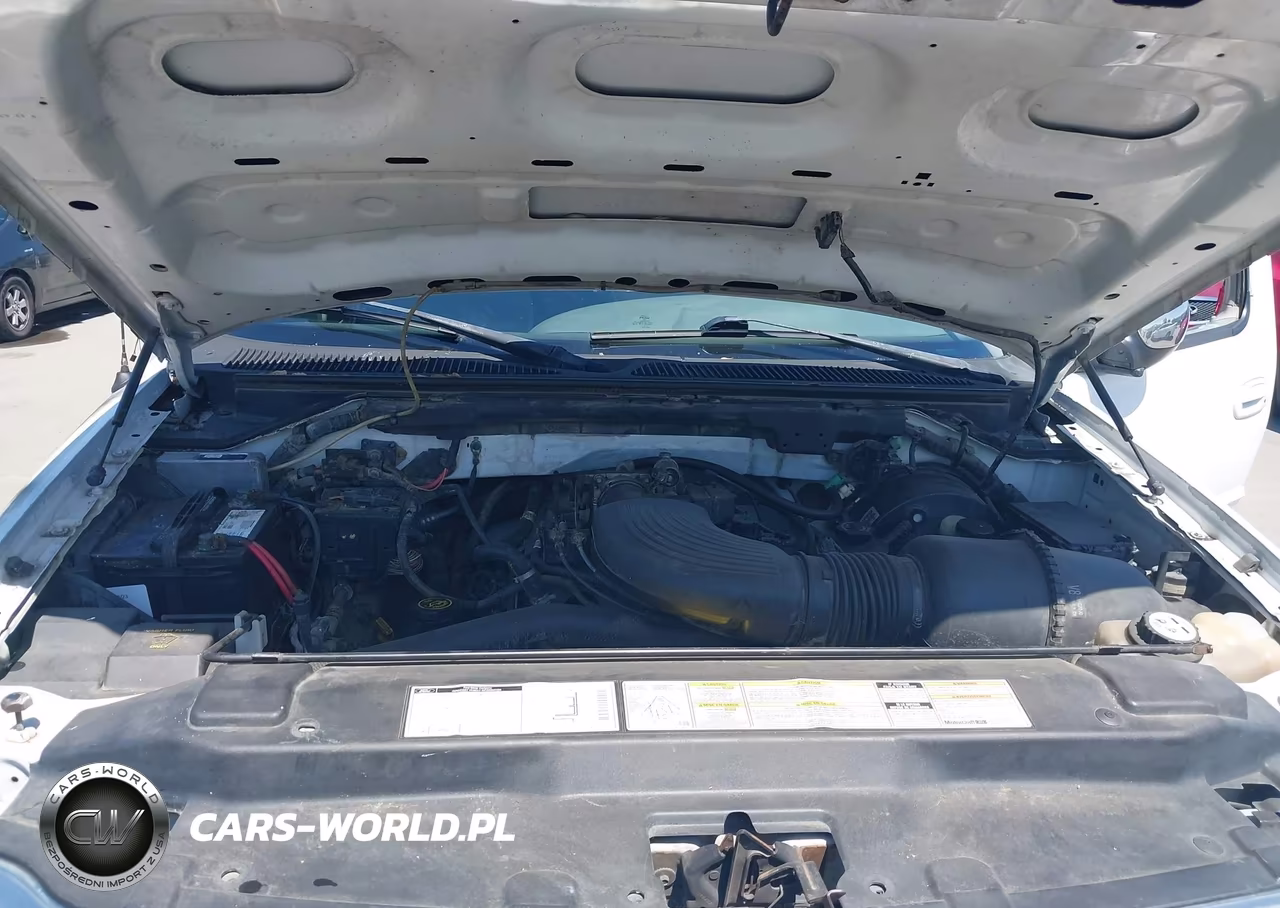 2000 Ford F-150 Lariat-Work Series-Xl-Xlt VIN:1FTRX17W2YNB81507 - 10