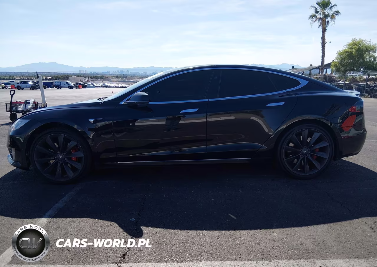 2017 Tesla Model S 100D-60D-75D-90D-P100D VIN:5YJSA1E49HF197223 - 15