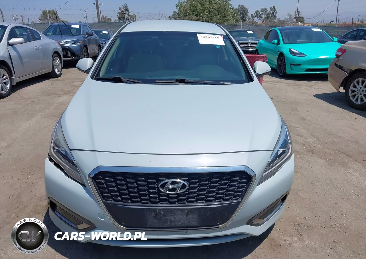 2016 Hyundai Sonata Hybrid Se VIN:KMHE24L13GA031447 - 12