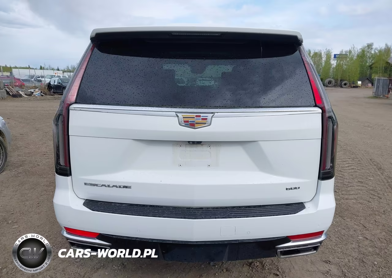 2022 Cadillac Escalade 4Wd Premium Luxury VIN:1GYS4BKL0NR240792 - 17