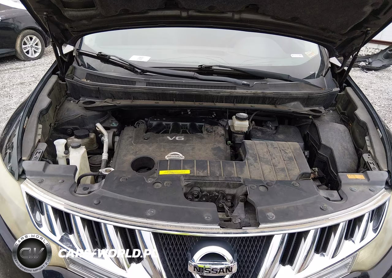 2009 Nissan Murano Le VIN:JN8AZ18W79W158469 - 10