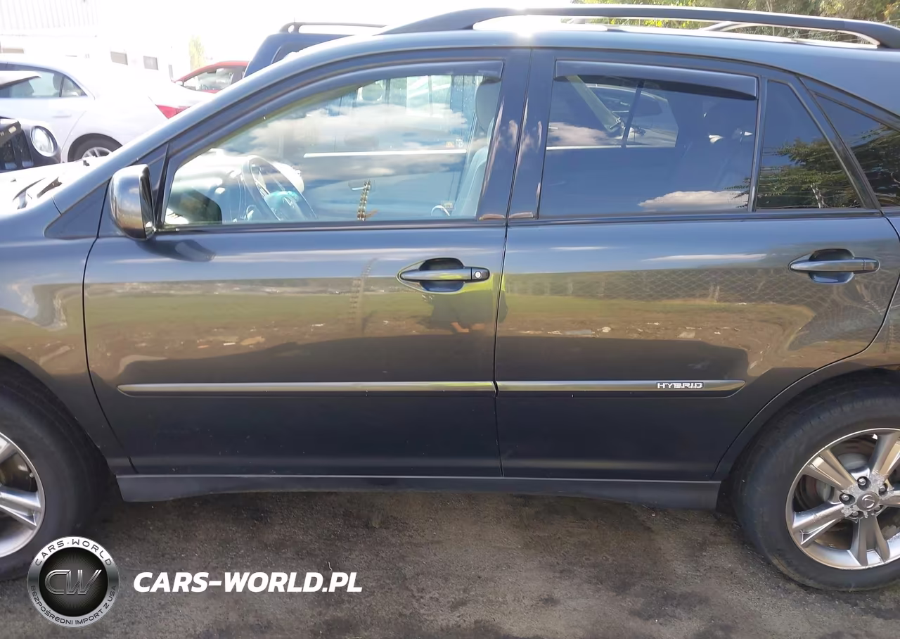 2007 Lexus Rx 400H VIN:JTJHW31U772034601 - 14