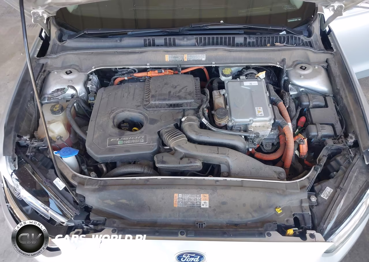 2016 Ford Fusion Energi Titanium VIN:3FA6P0SU2GR196061 - 10