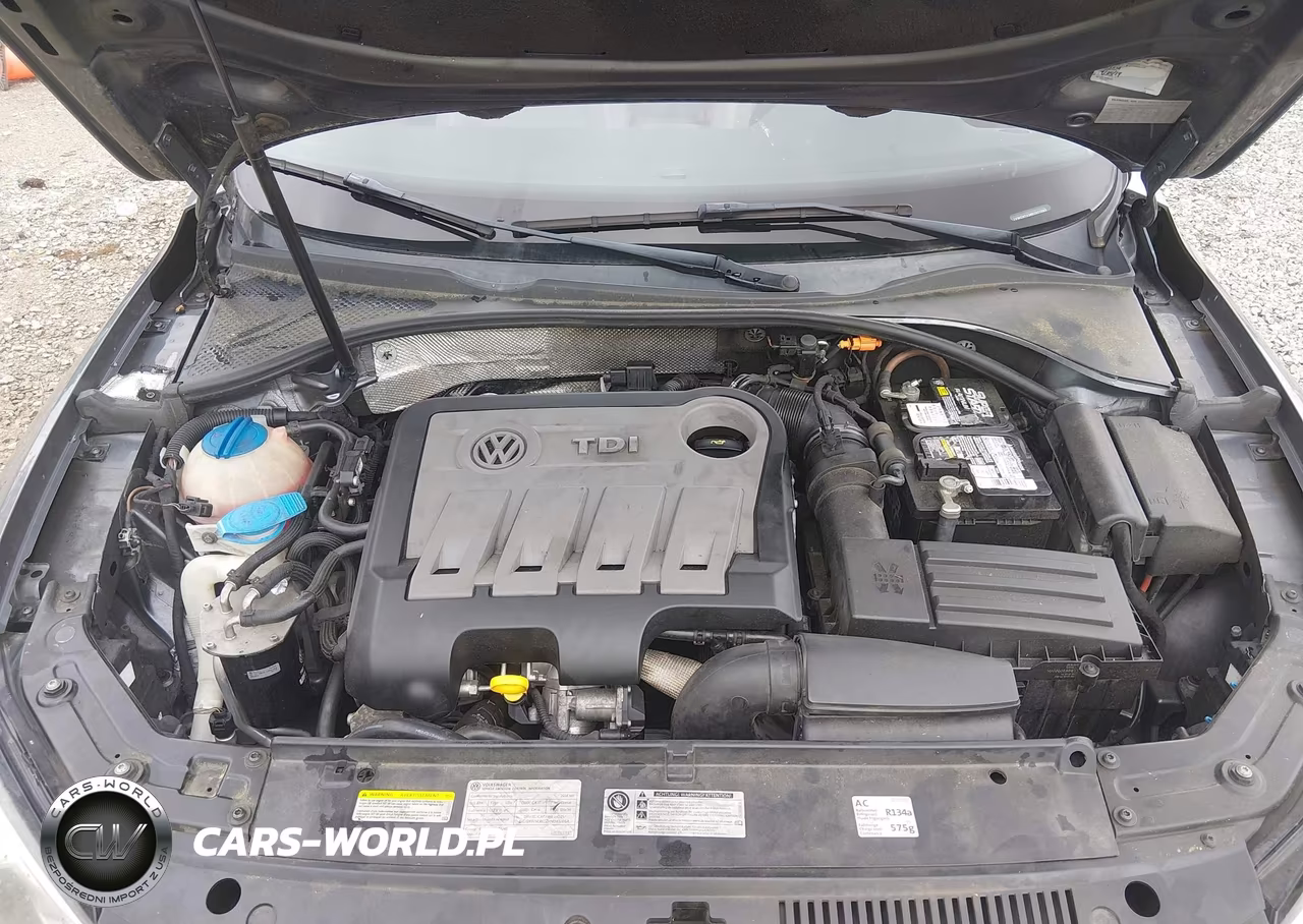 2014 Volkswagen Passat 2.0L Tdi Sel Premium VIN:1VWCN7A36EC071593 - 10