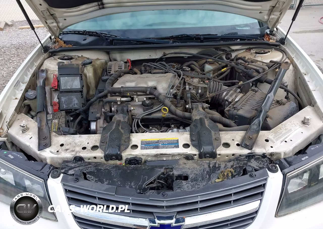 2004 Chevrolet Impala VIN:2G1WF52E349299230 - 10