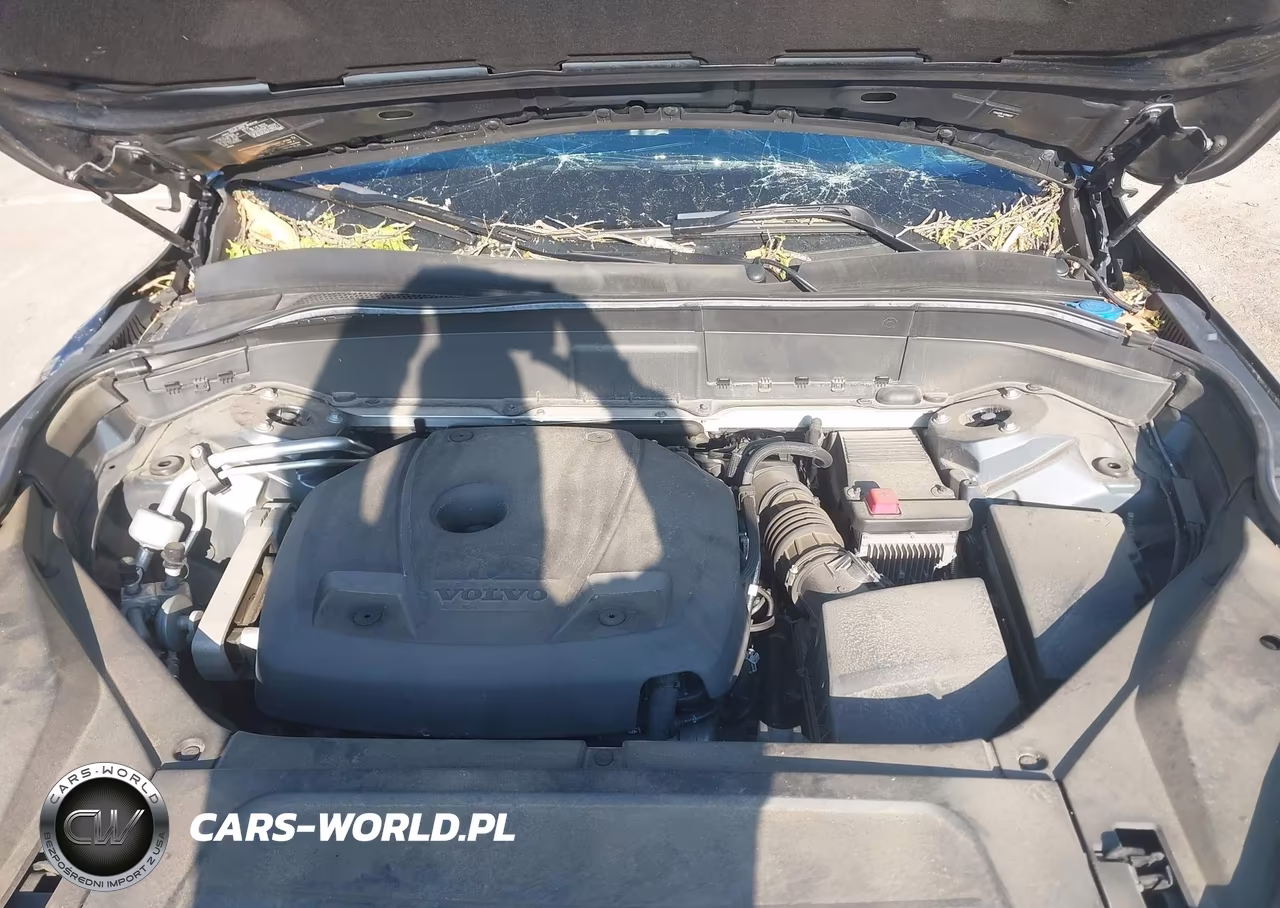 2018 Volvo Xc90 T6 Inscription VIN:YV4A22PL1J1358372 - 10