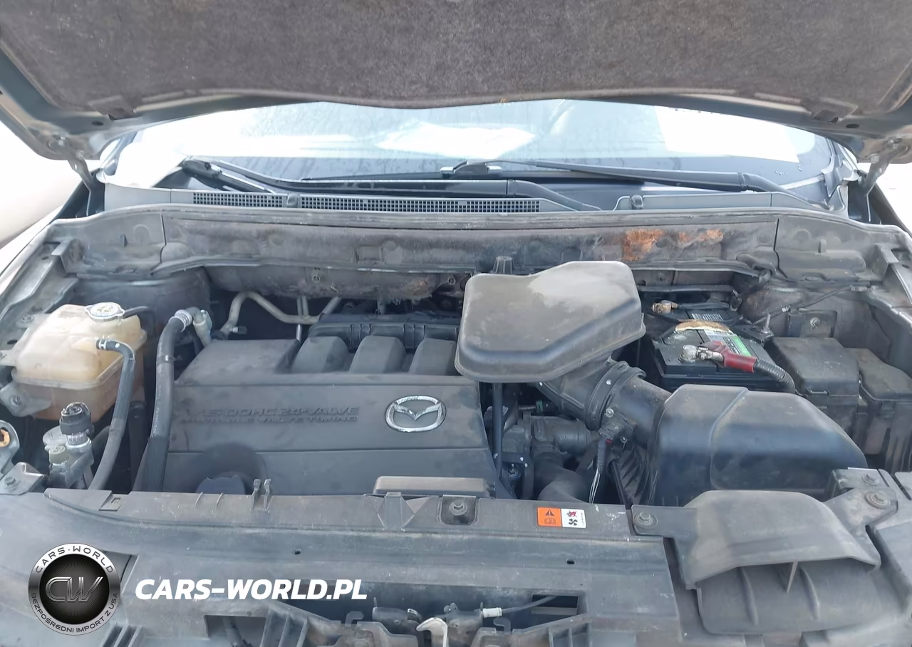 2010 Mazda Cx-9 Sport VIN:JM3TB2MAXA0209308 - 10