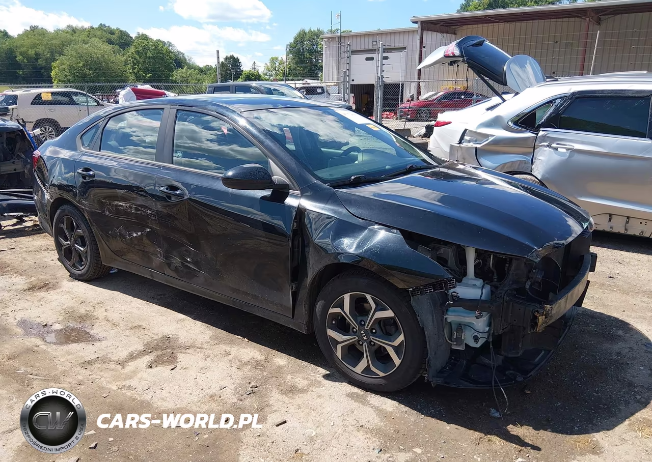 2019 Kia Forte Lxs