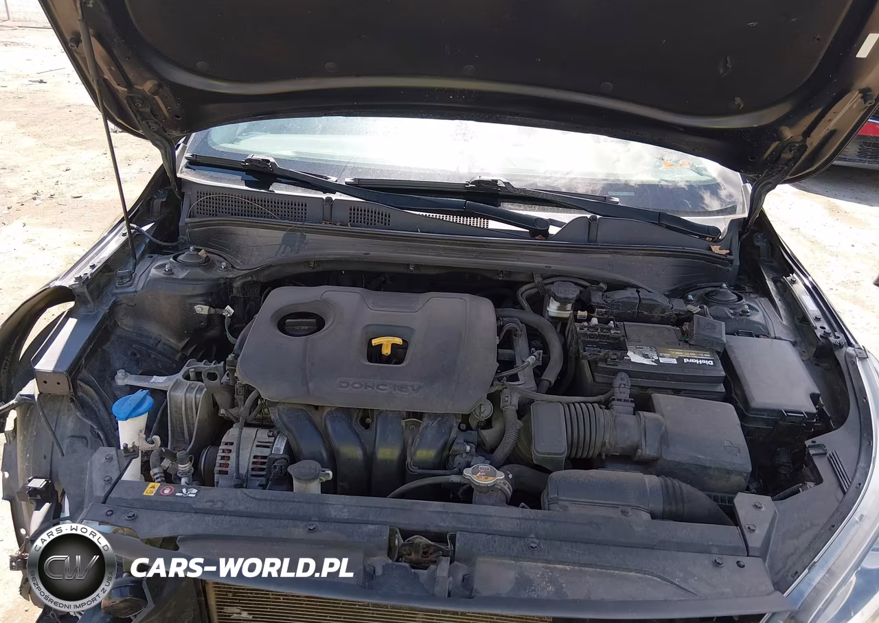 2019 Kia Forte Lxs VIN:3KPF24AD2KE029927 - 10