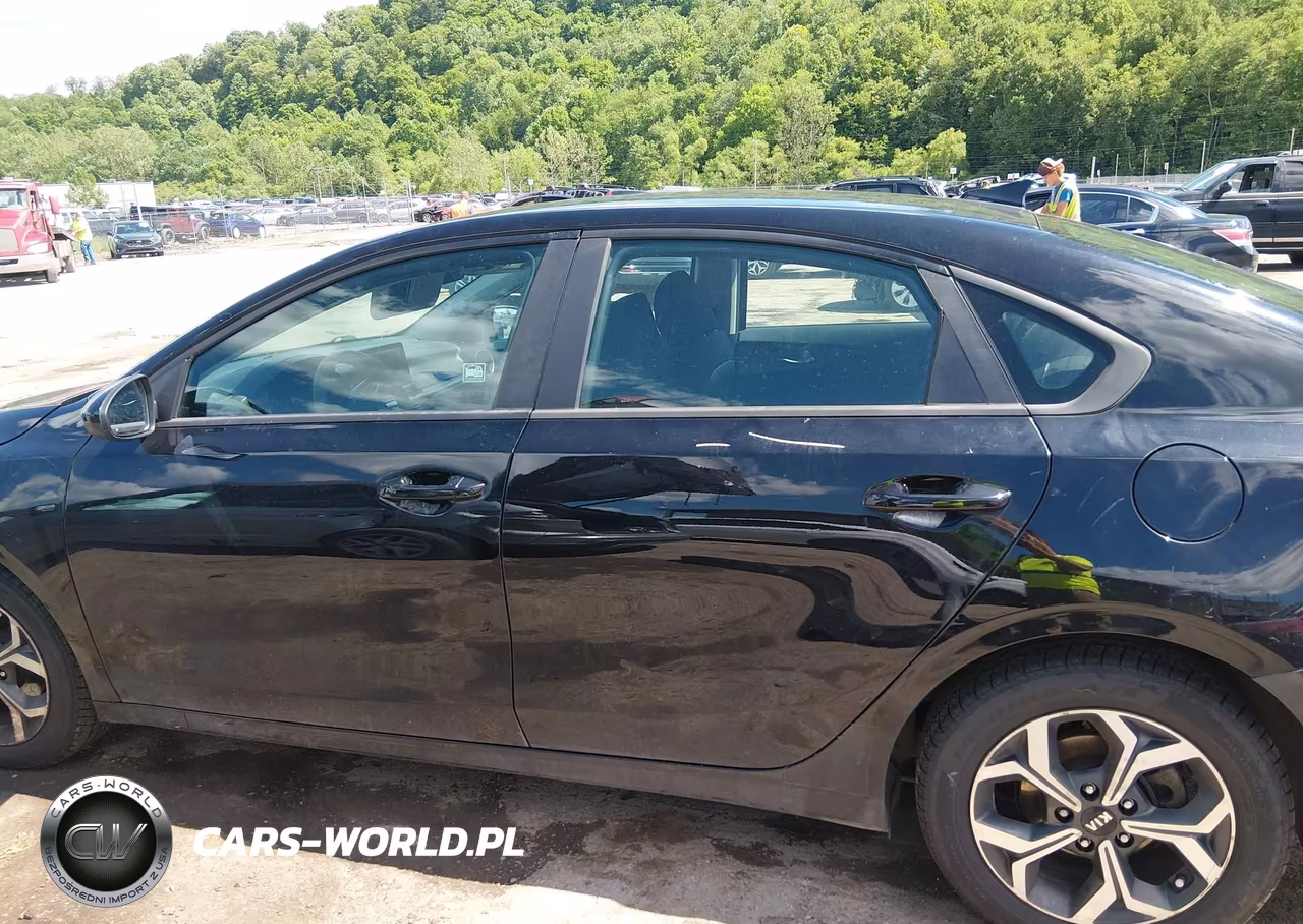2019 Kia Forte Lxs VIN:3KPF24AD2KE029927 - 15