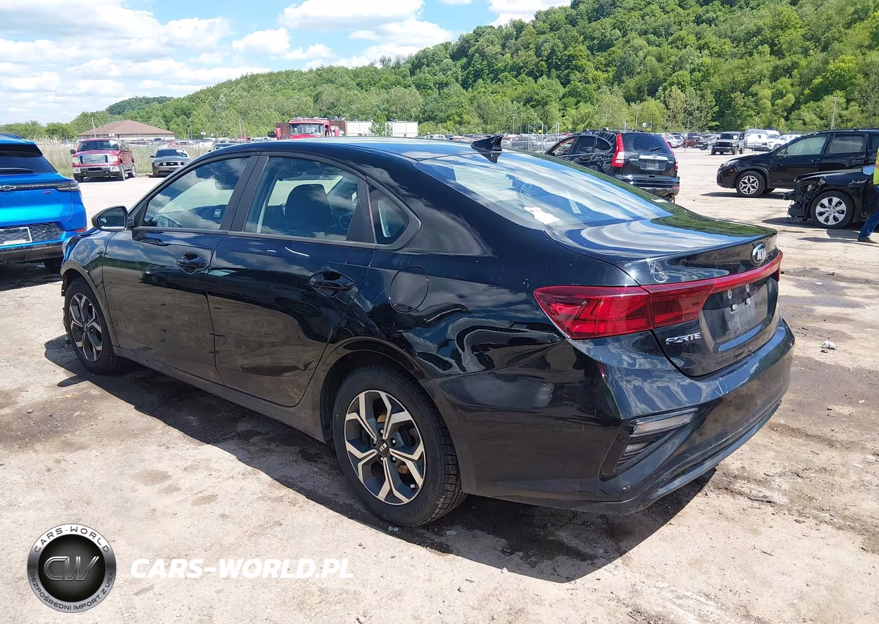 2019 Kia Forte Lxs VIN:3KPF24AD2KE029927 - 3