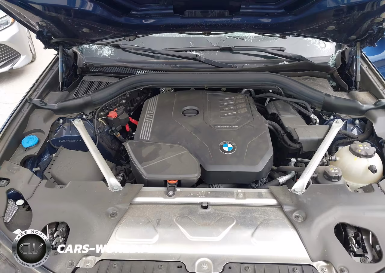 2024 BMW X3 xDrive30I VIN:5UX53DP01R9V84281 - 10