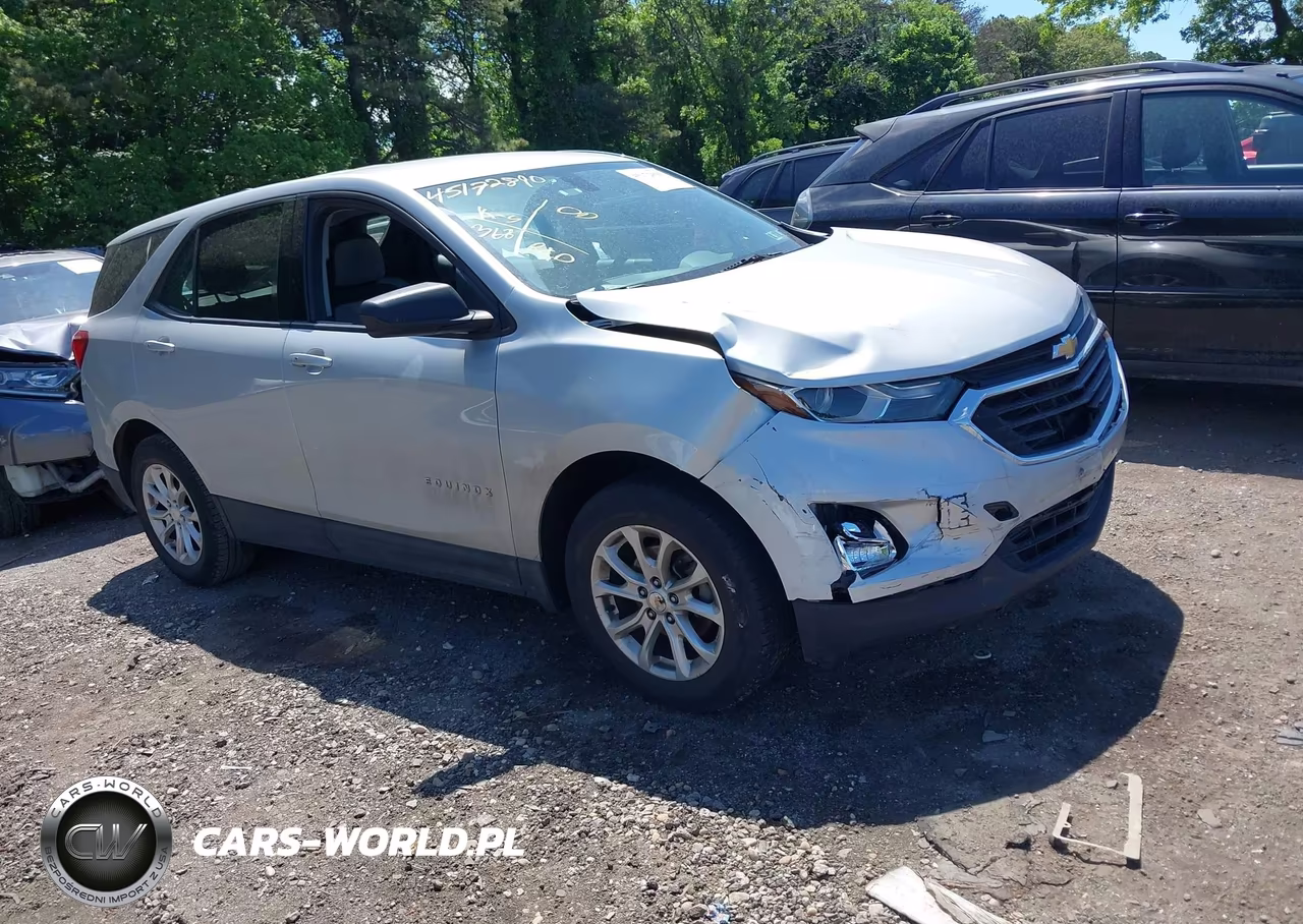 2019 Chevrolet Equinox Ls – zdjęcie 1 z 17