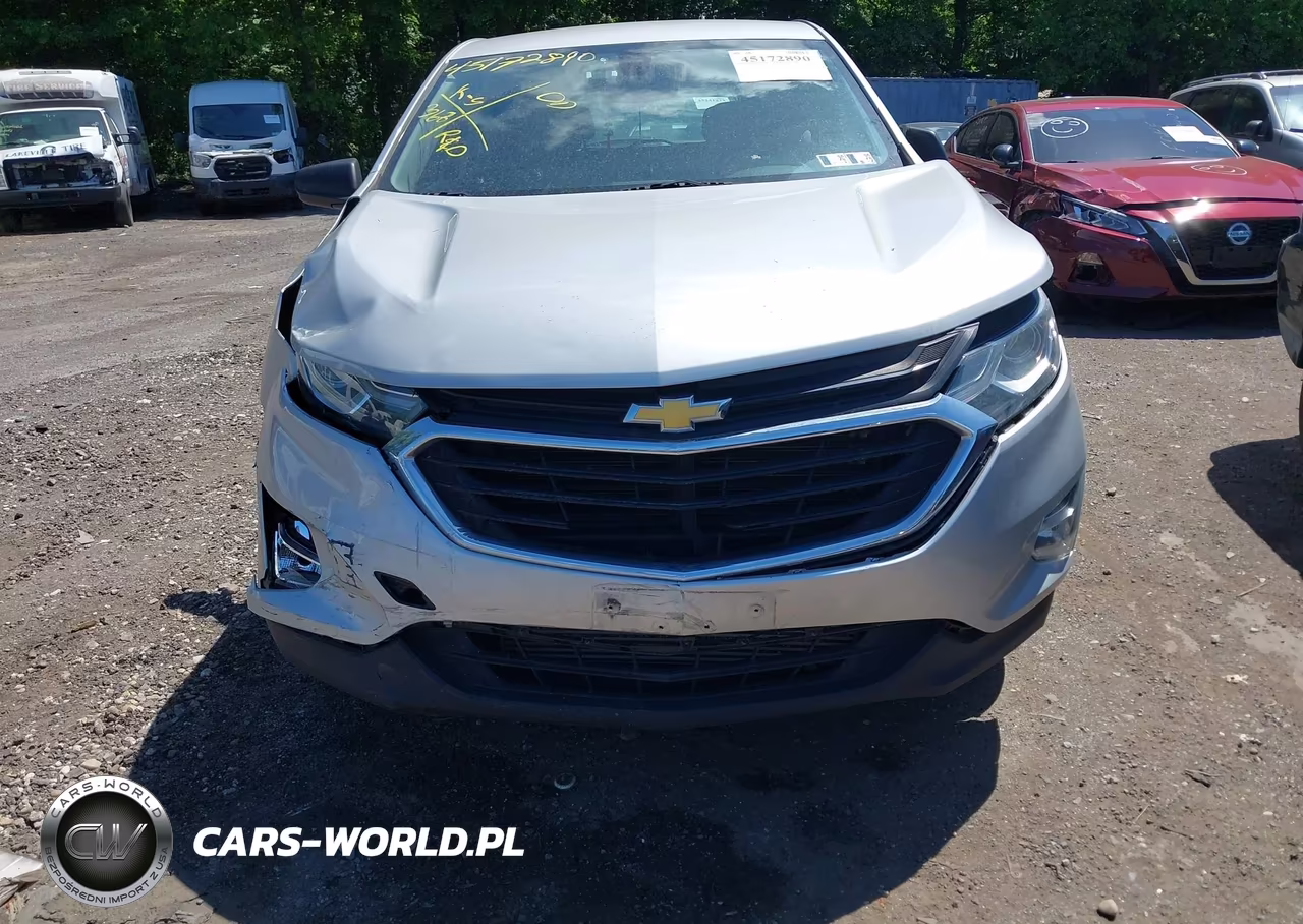 2019 Chevrolet Equinox Ls VIN:2GNAXSEV1K6288001 - 12