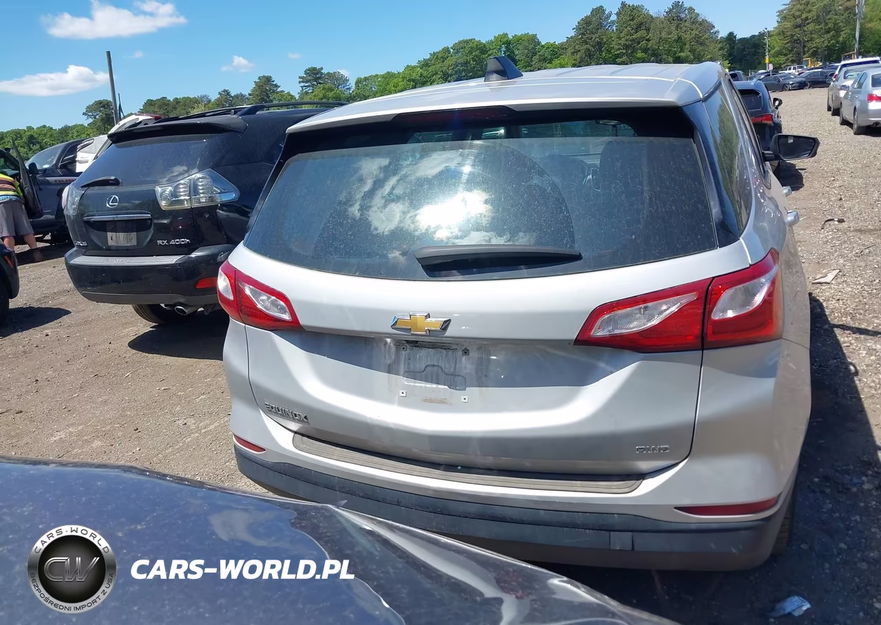 2019 Chevrolet Equinox Ls VIN:2GNAXSEV1K6288001 - 16