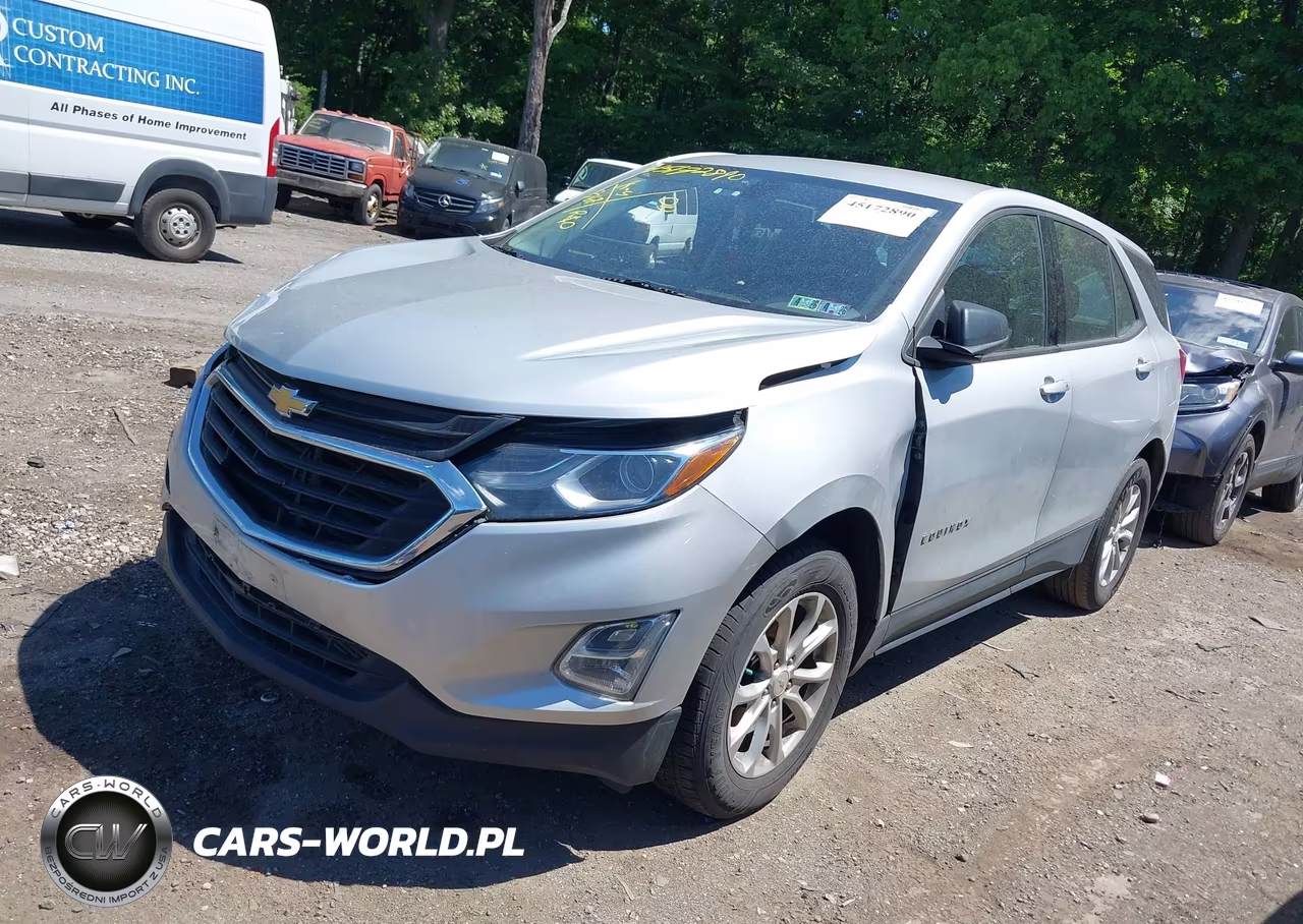 2019 Chevrolet Equinox Ls VIN:2GNAXSEV1K6288001 - 2