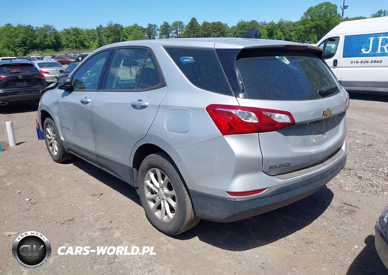 2019 Chevrolet Equinox Ls VIN:2GNAXSEV1K6288001 - 3
