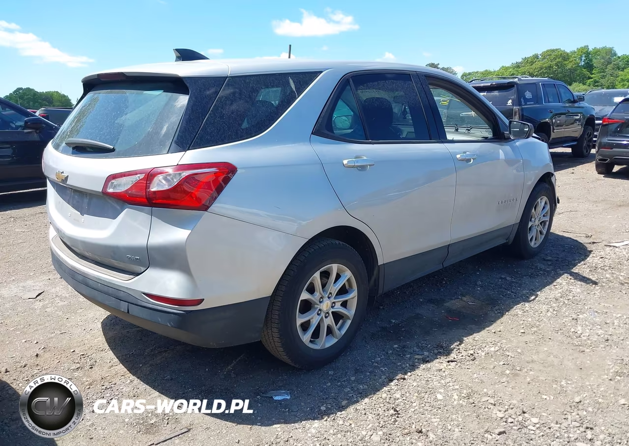 2019 Chevrolet Equinox Ls VIN:2GNAXSEV1K6288001 - 4