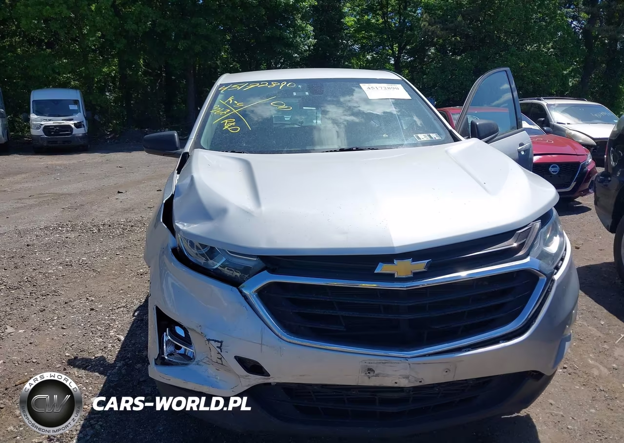 2019 Chevrolet Equinox Ls VIN:2GNAXSEV1K6288001 - 6