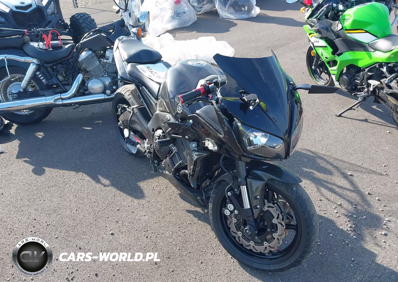 2009 Yamaha Fz1 S