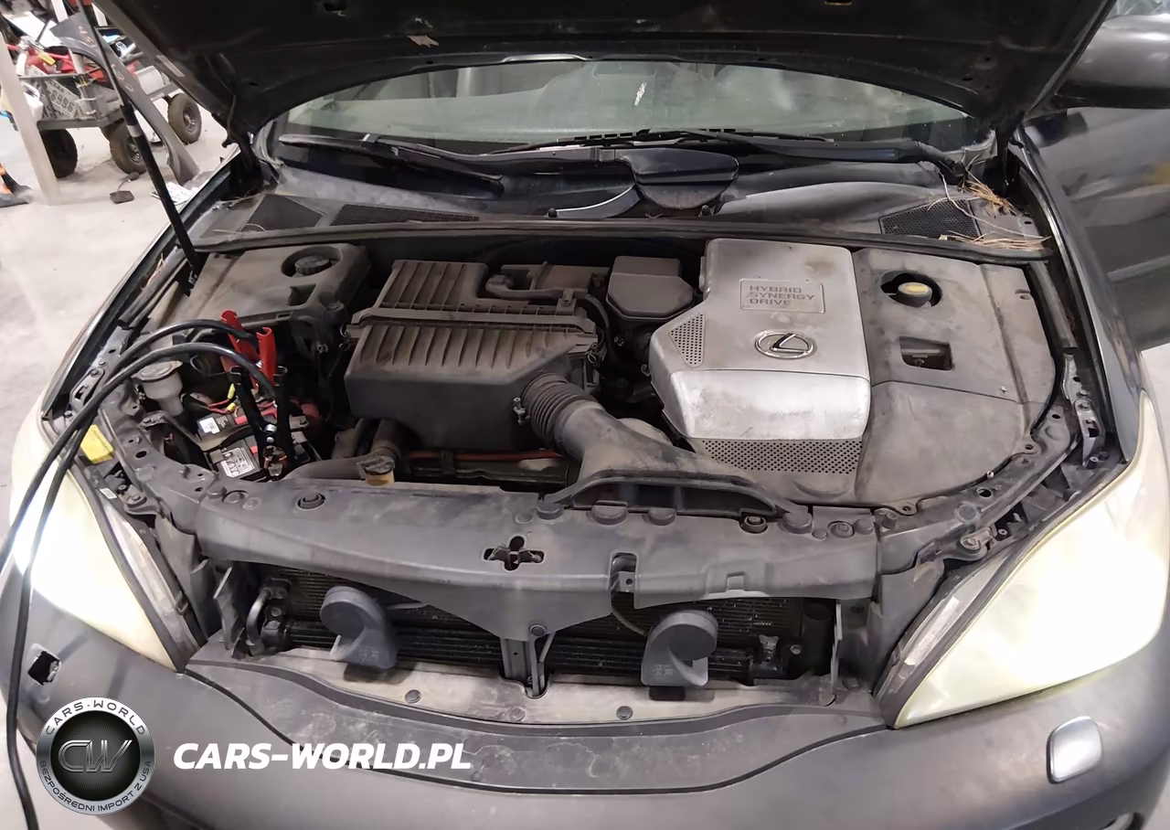 2006 Lexus Rx 400H VIN:JTJHW31U560020187 - 10