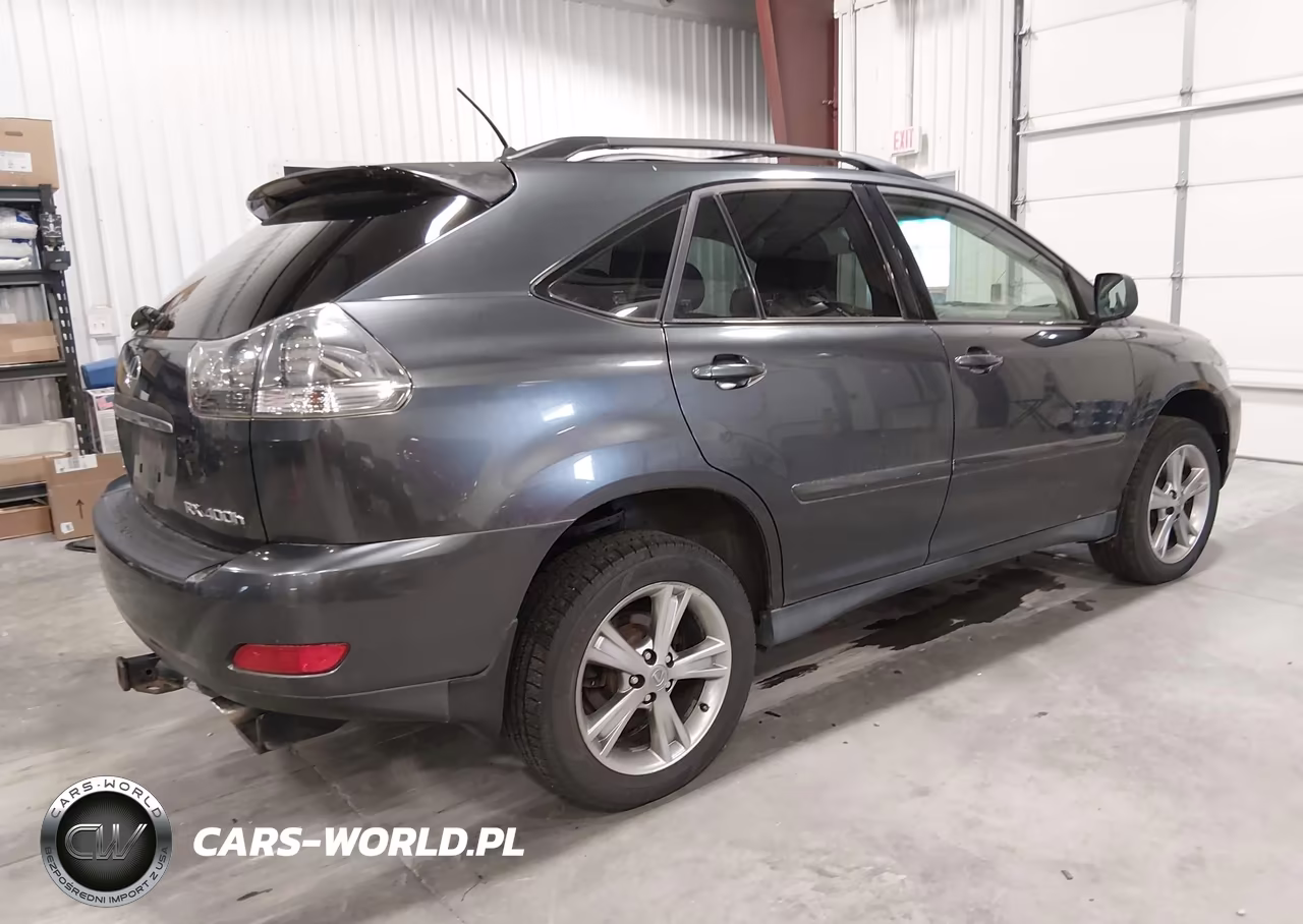 2006 Lexus Rx 400H VIN:JTJHW31U560020187 - 4