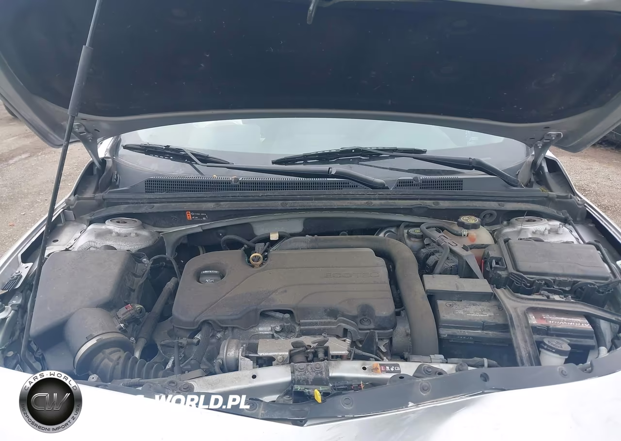 2019 Chevrolet Malibu VIN:1G1ZD5ST0KF119482 - 10