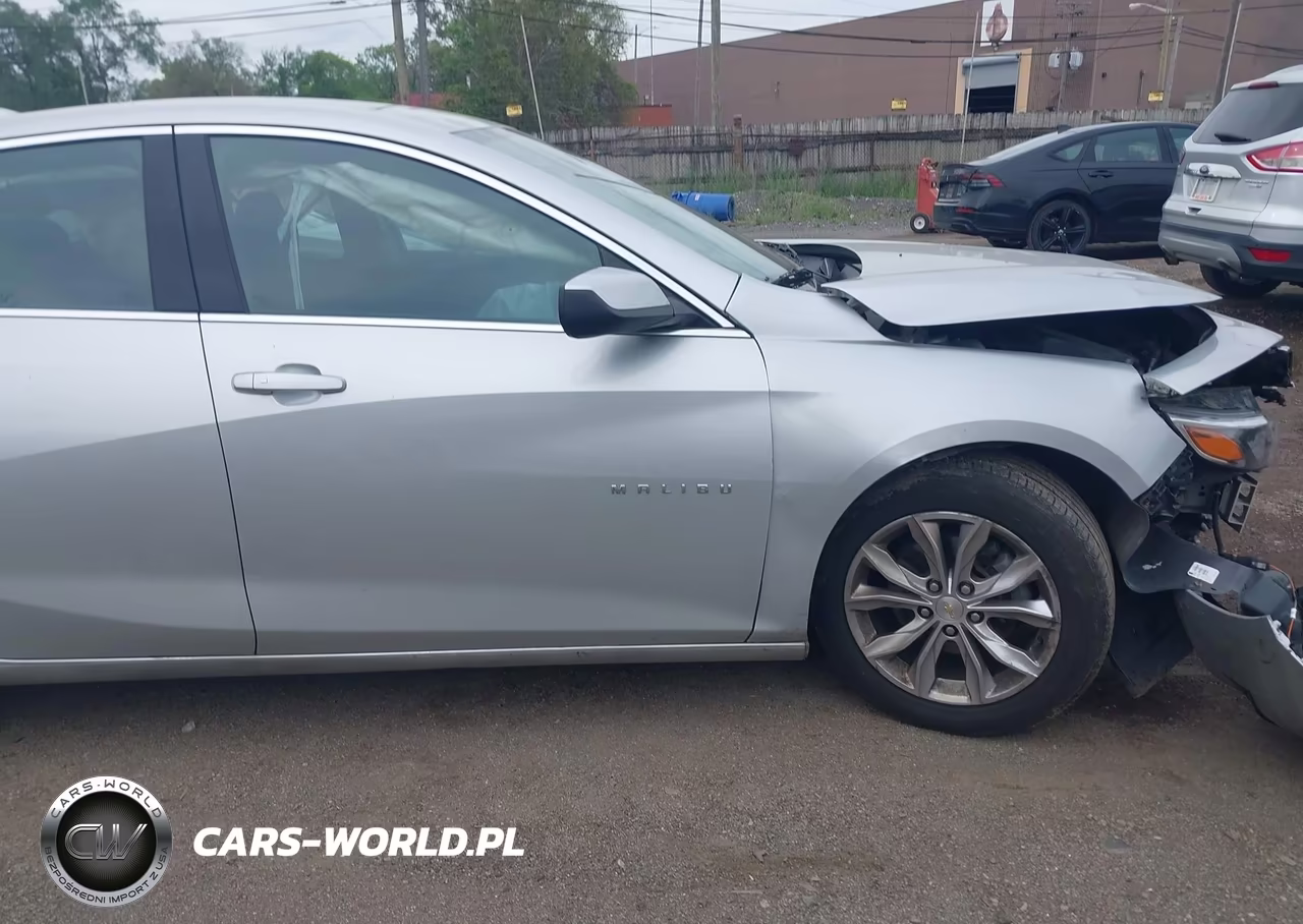 2019 Chevrolet Malibu VIN:1G1ZD5ST0KF119482 - 13