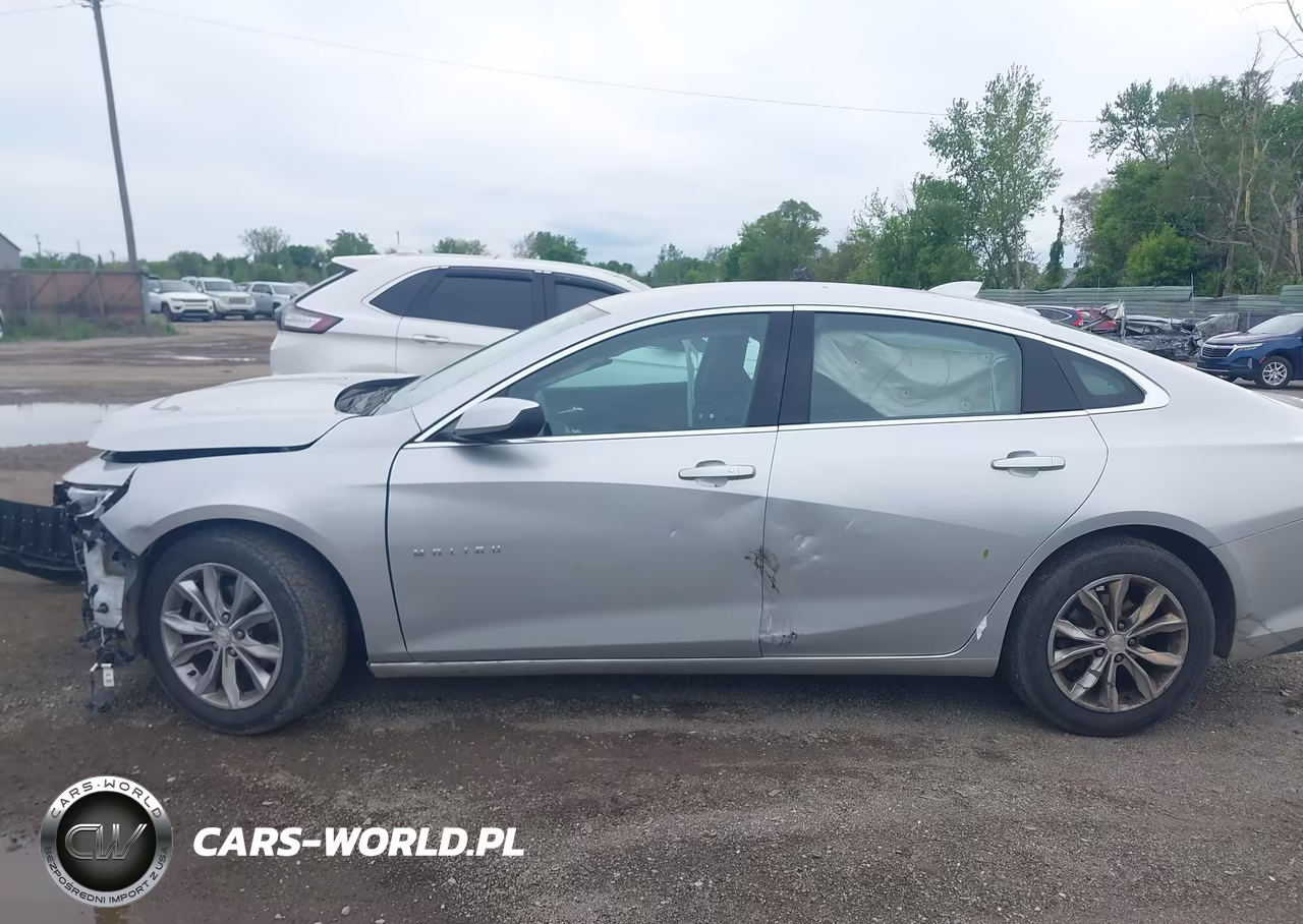 2019 Chevrolet Malibu VIN:1G1ZD5ST0KF119482 - 14