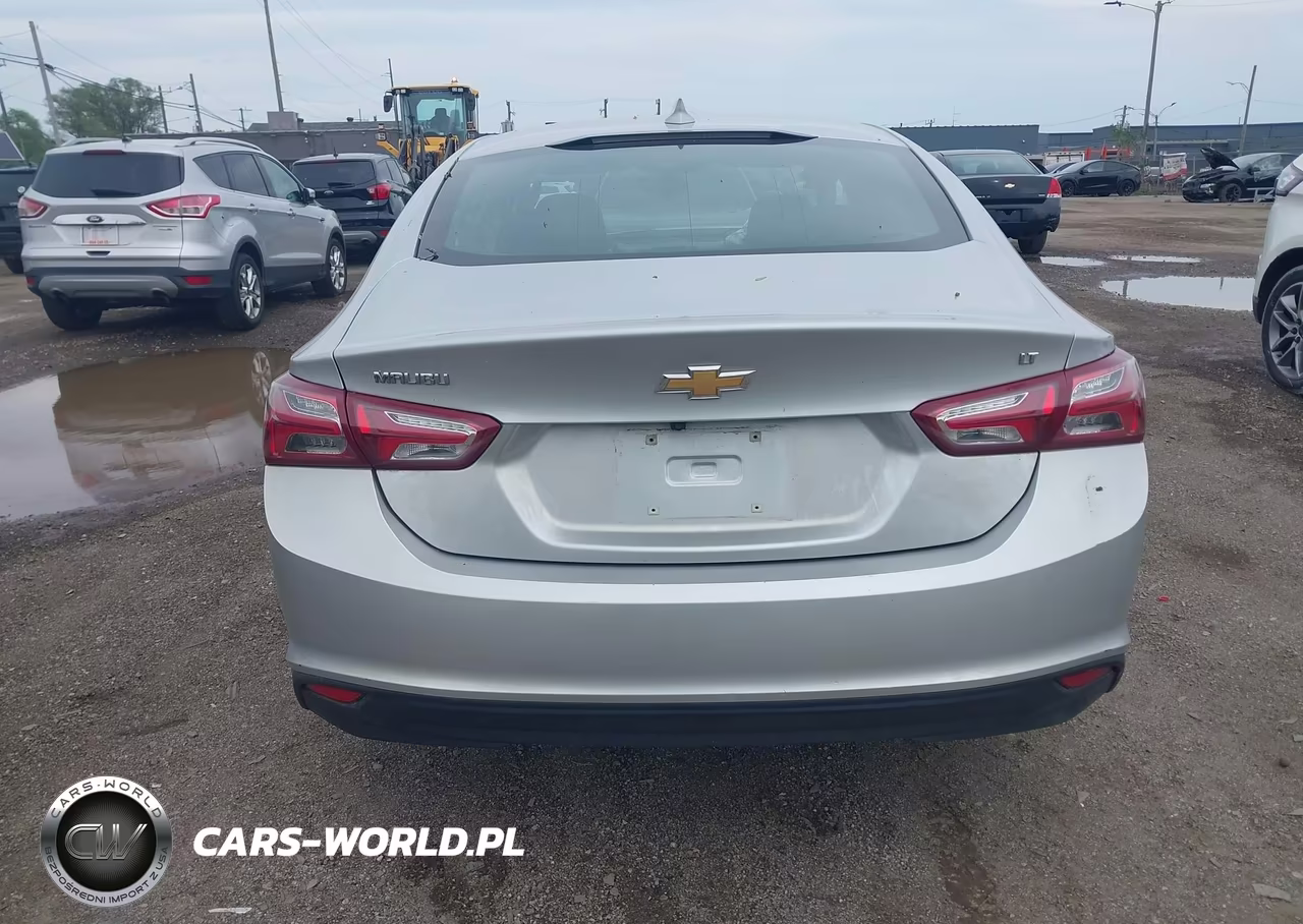 2019 Chevrolet Malibu VIN:1G1ZD5ST0KF119482 - 16