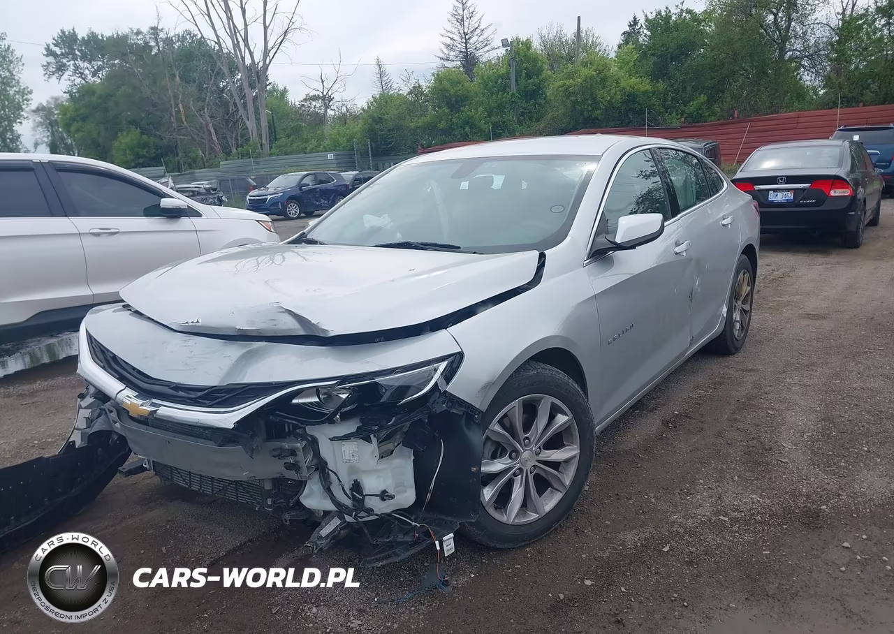 2019 Chevrolet Malibu VIN:1G1ZD5ST0KF119482 - 2
