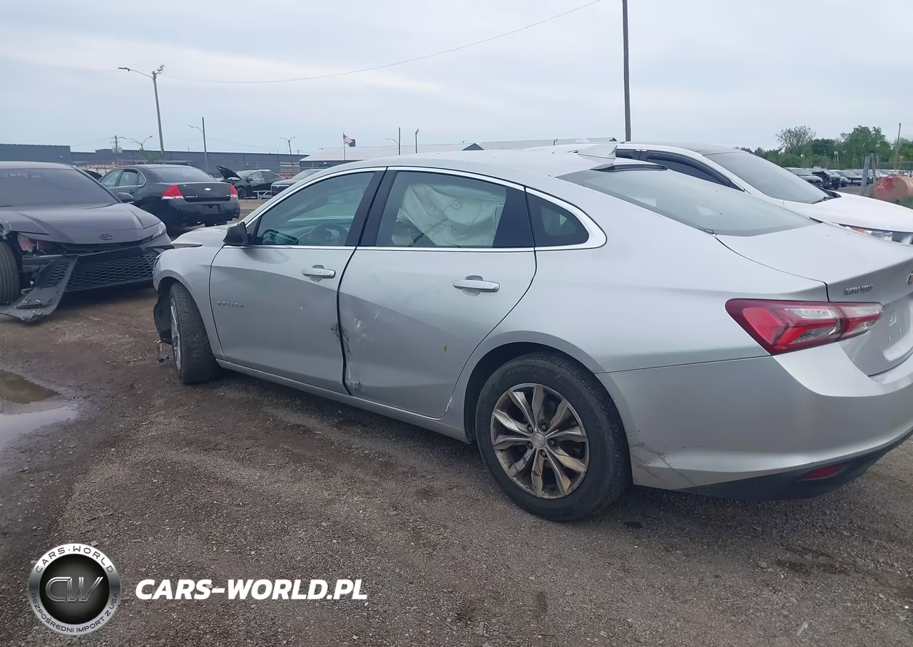 2019 Chevrolet Malibu VIN:1G1ZD5ST0KF119482 - 3