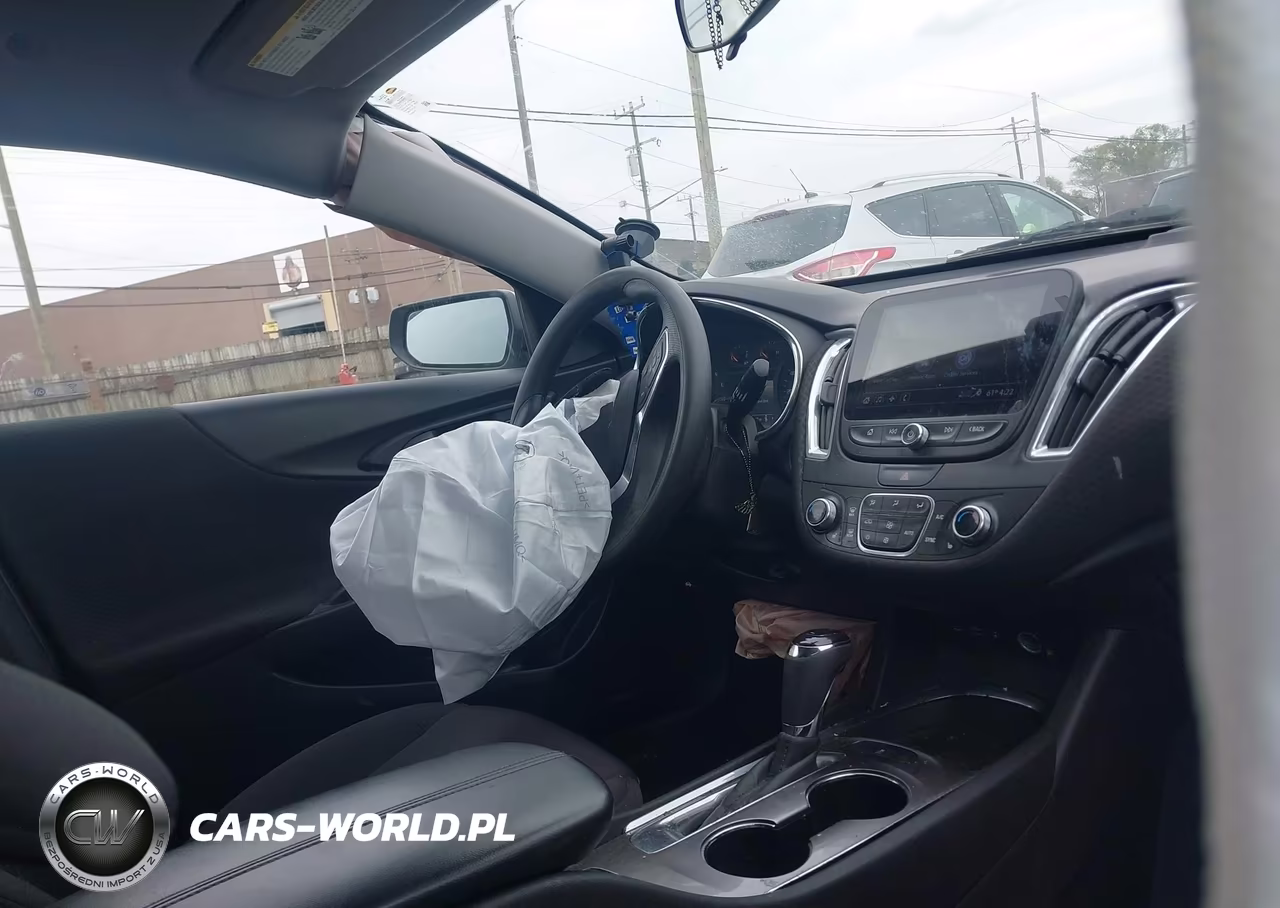 2019 Chevrolet Malibu VIN:1G1ZD5ST0KF119482 - 5