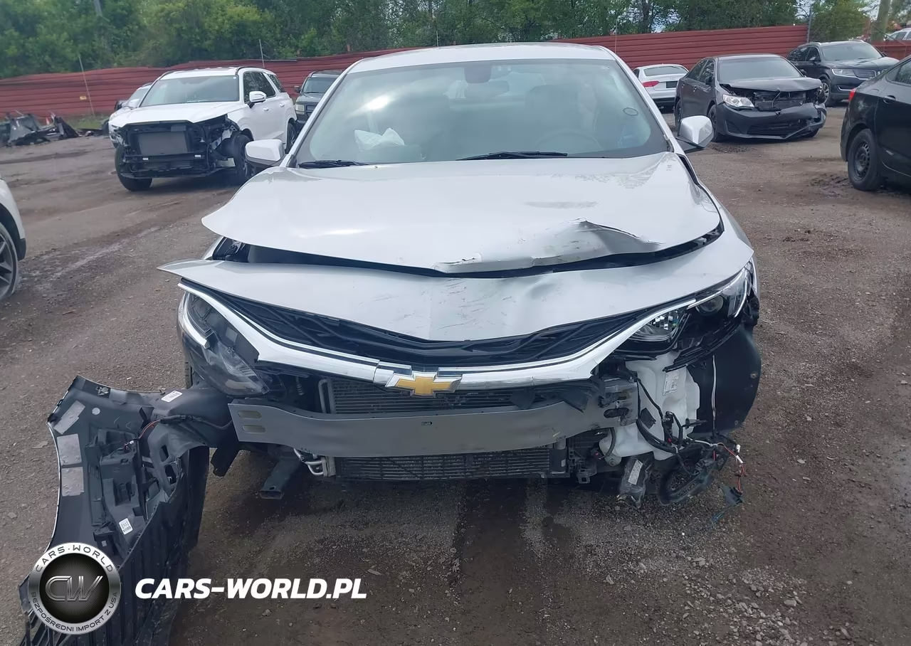 2019 Chevrolet Malibu VIN:1G1ZD5ST0KF119482 - 6