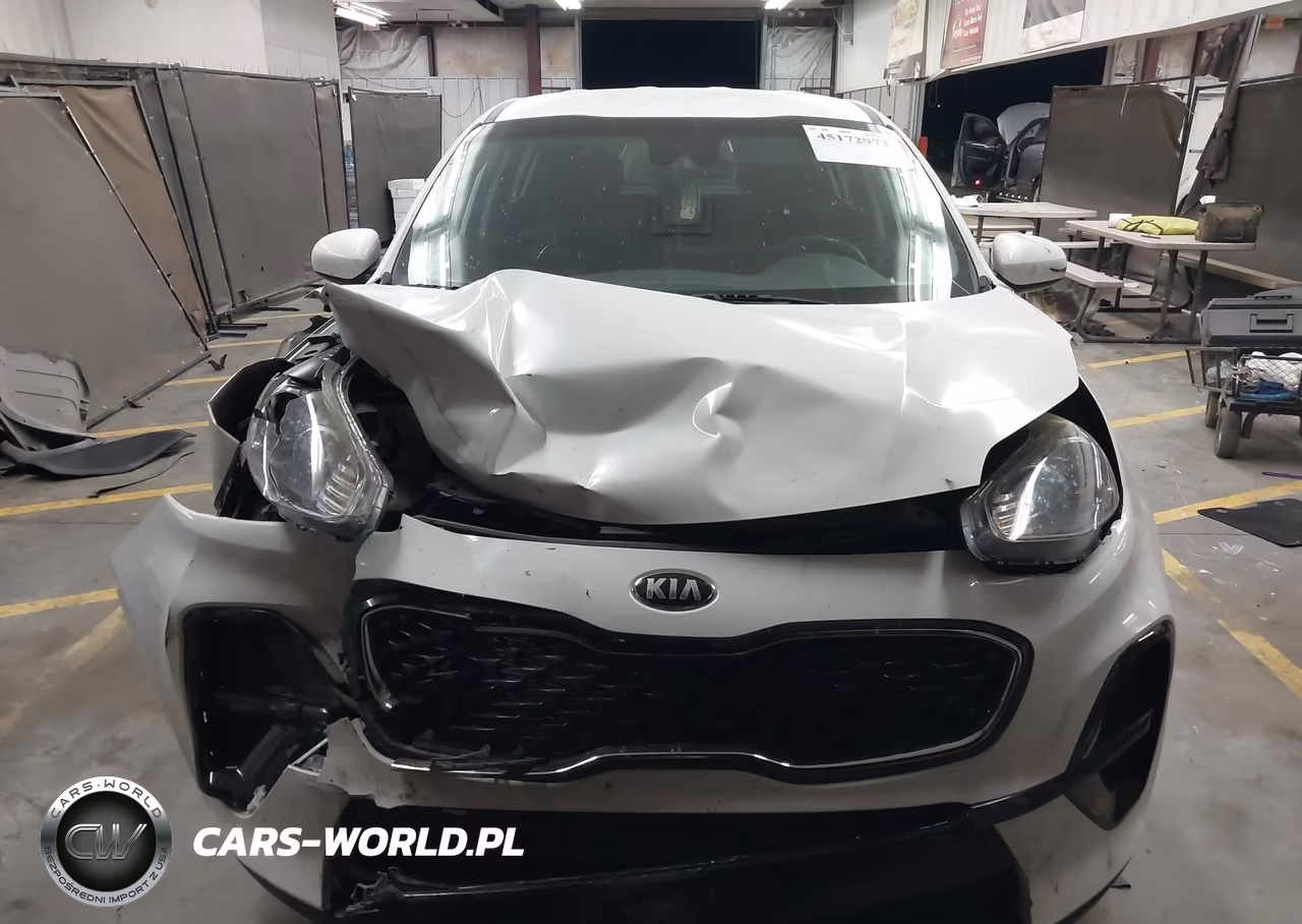 2020 Kia Sportage Lx VIN:KNDPM3AC7L7645446 - 12