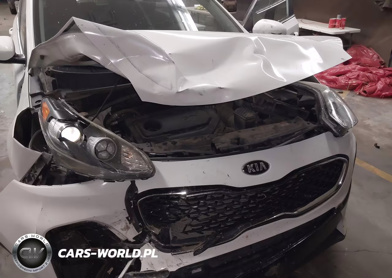 2020 Kia Sportage Lx VIN:KNDPM3AC7L7645446 - 6