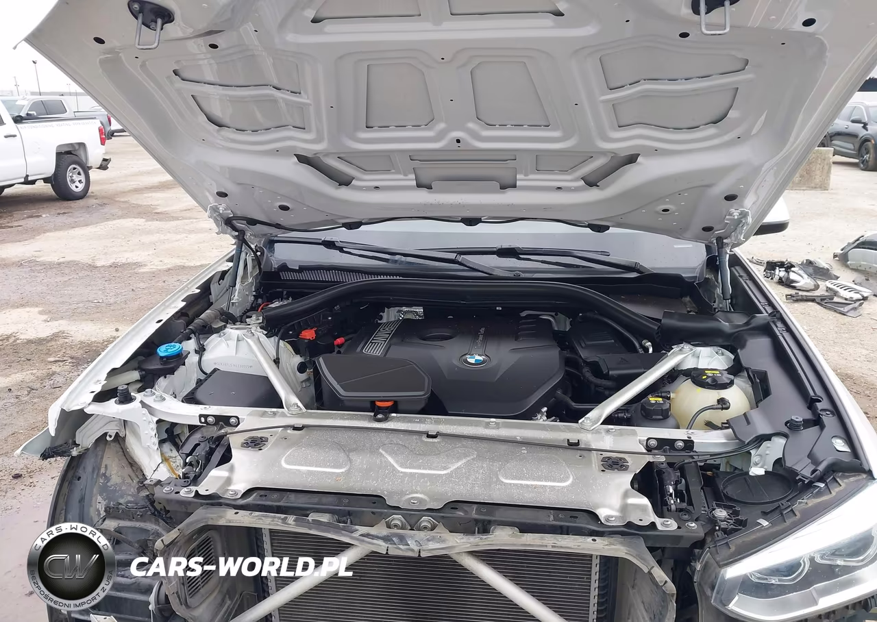 2019 BMW X3 Sdrive30I VIN:5UXTR7C51KLE88977 - 10